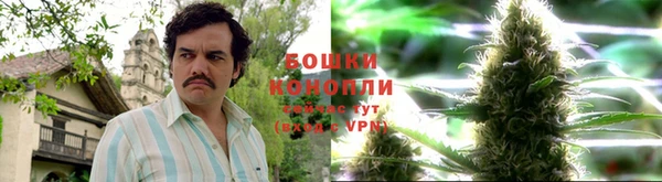 PSILOCYBIN Верхнеуральск