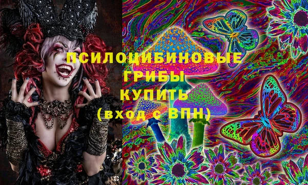 PSILOCYBIN Верхнеуральск