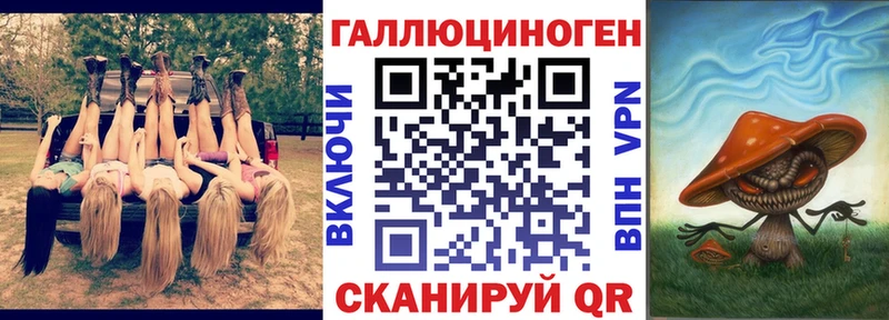 Купить закладки Тогучин Псилоцибиновые грибы Magic Shrooms